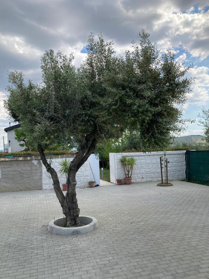 Villa Mater Matera Dış mekan fotoğraf